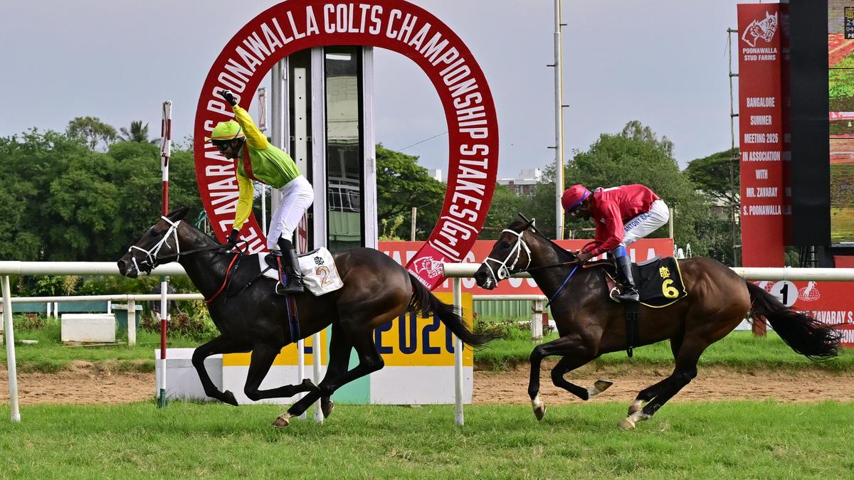 D’artagnan lives up to the favourite billing in the Zavaray S. Poonawalla Colts Championship Stakes