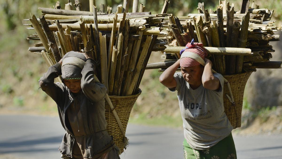 Not binary: India can save its forests by winning the war on poverty