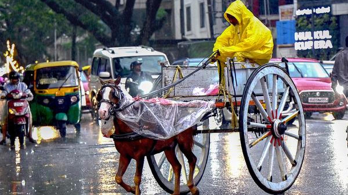 IIT-Delhi study finds human activity drives India’s ‘wild’ weather