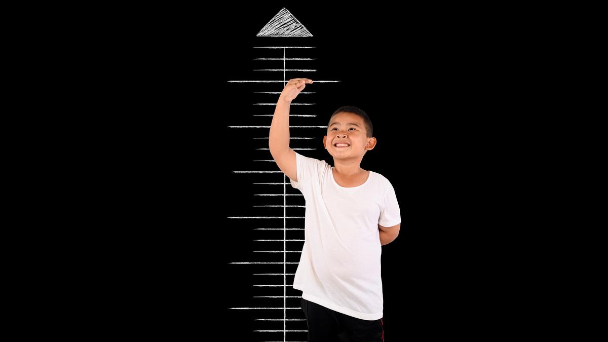 What decides your height? – The Hindu