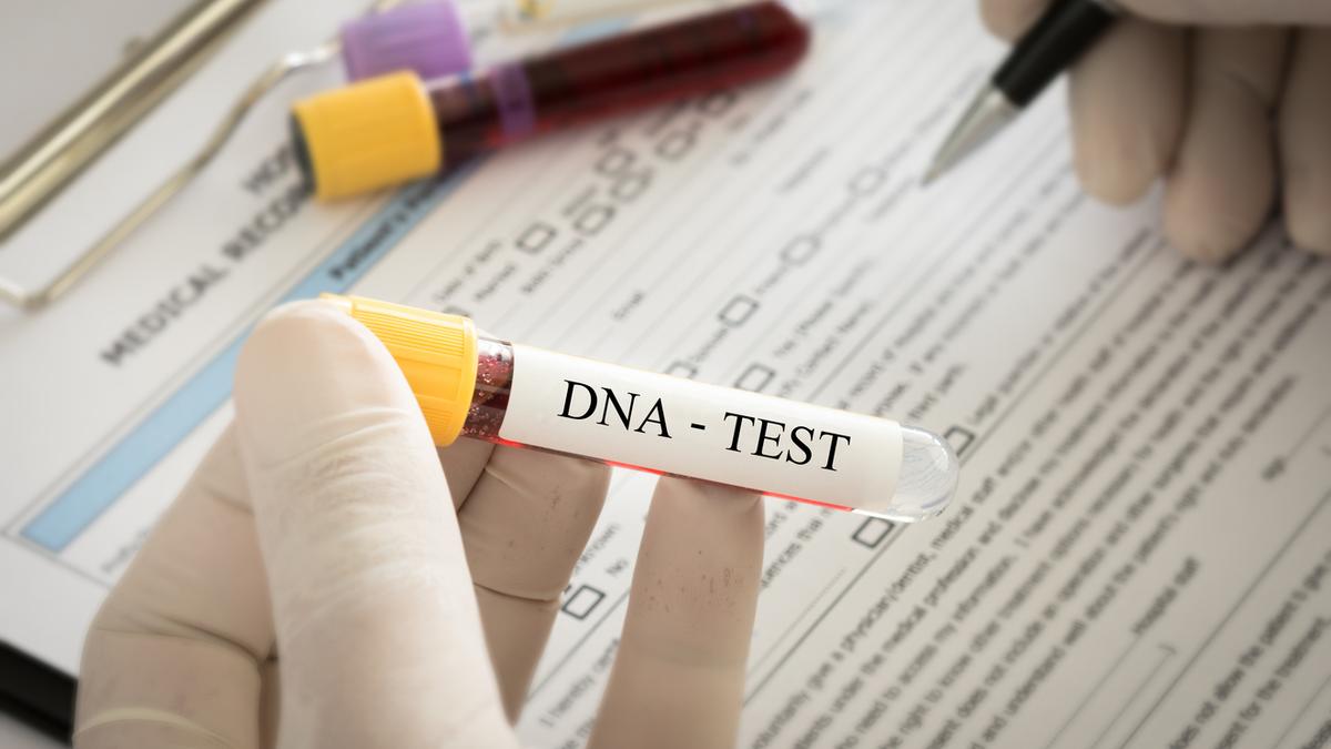 No ‘obesity gene’: why your genetic makeup is not a fixed destiny
