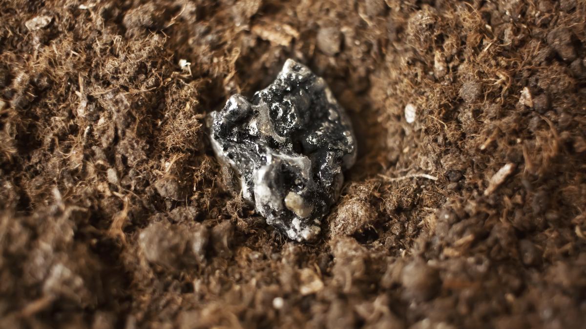India seeks rare earth samples from Rosneft-owned Siberian deposit, source says
