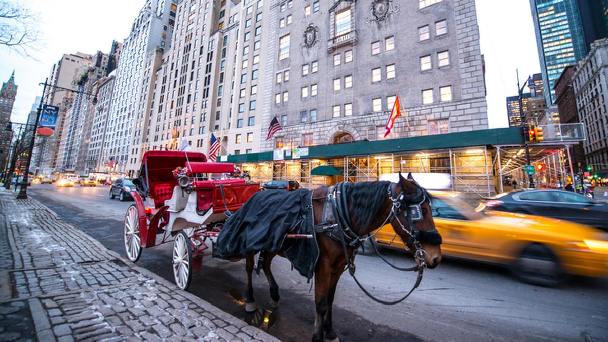 Indian teenager dies in horse carriage accident during his first trip to New York