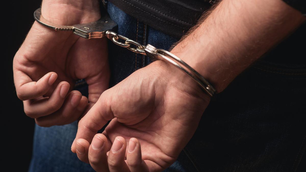 Turkiye arrests over 200 before NATO summit