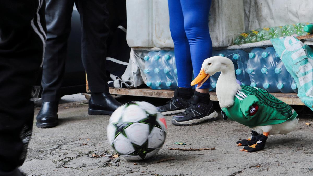 Look who’s at the 2026 FIFA World Cup party!