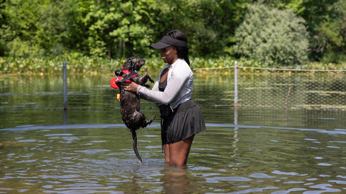 El Nino effect: Challenges to adaptation and resilience