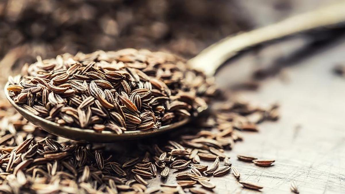 Gujarat’s Unjha cumin and fennel receive GI tag