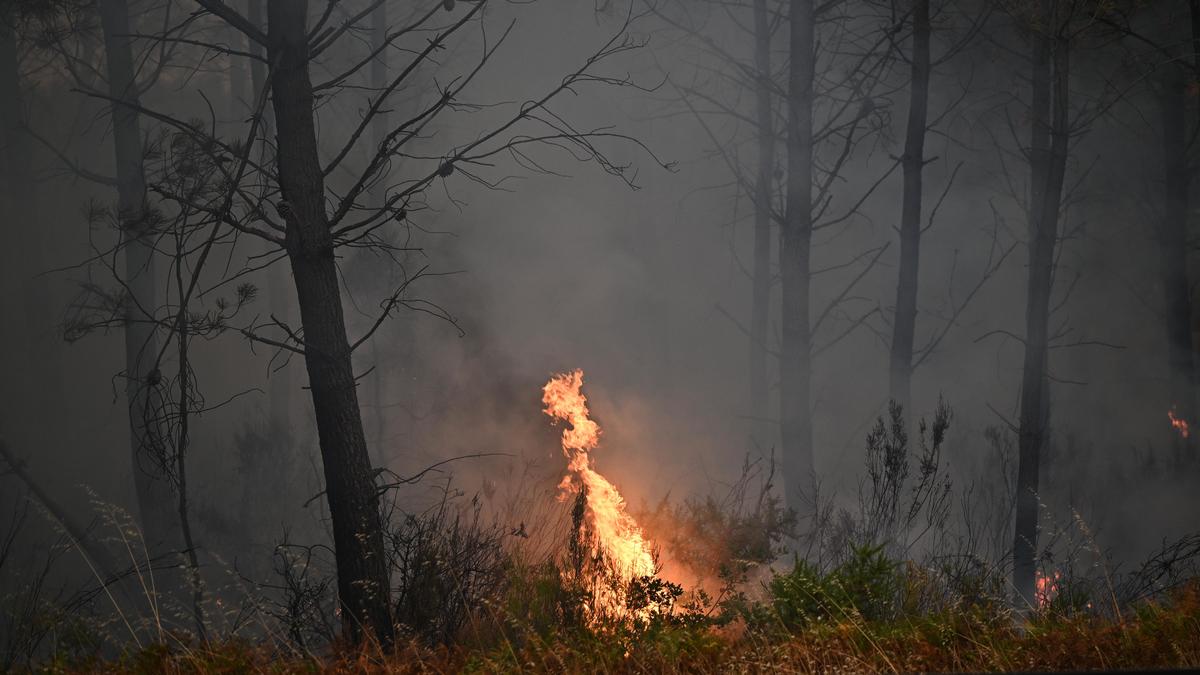 Wildfire leads to evacuations in some suburbs of French city of Bordeaux
