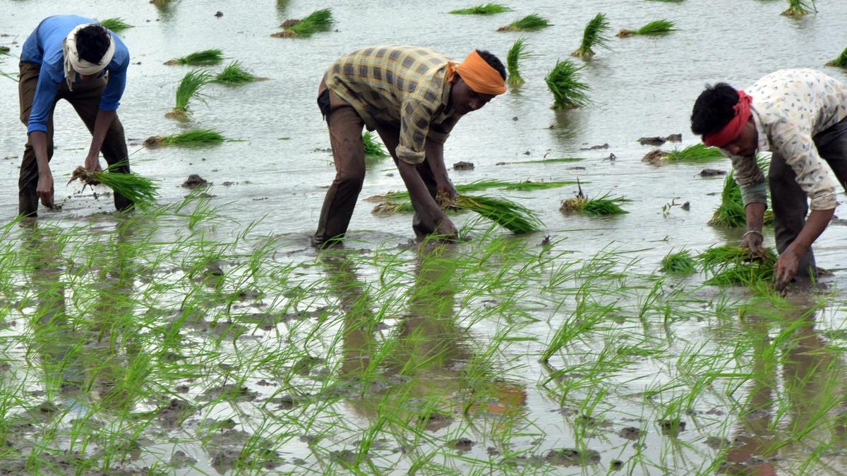 Centre extends PM-Kisan for four more years, allocates ₹3.15 lakh crore
