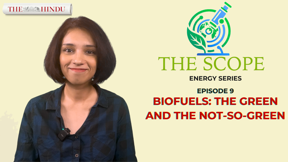 The green and the not-so-green of biofuels — explained | The Scope
