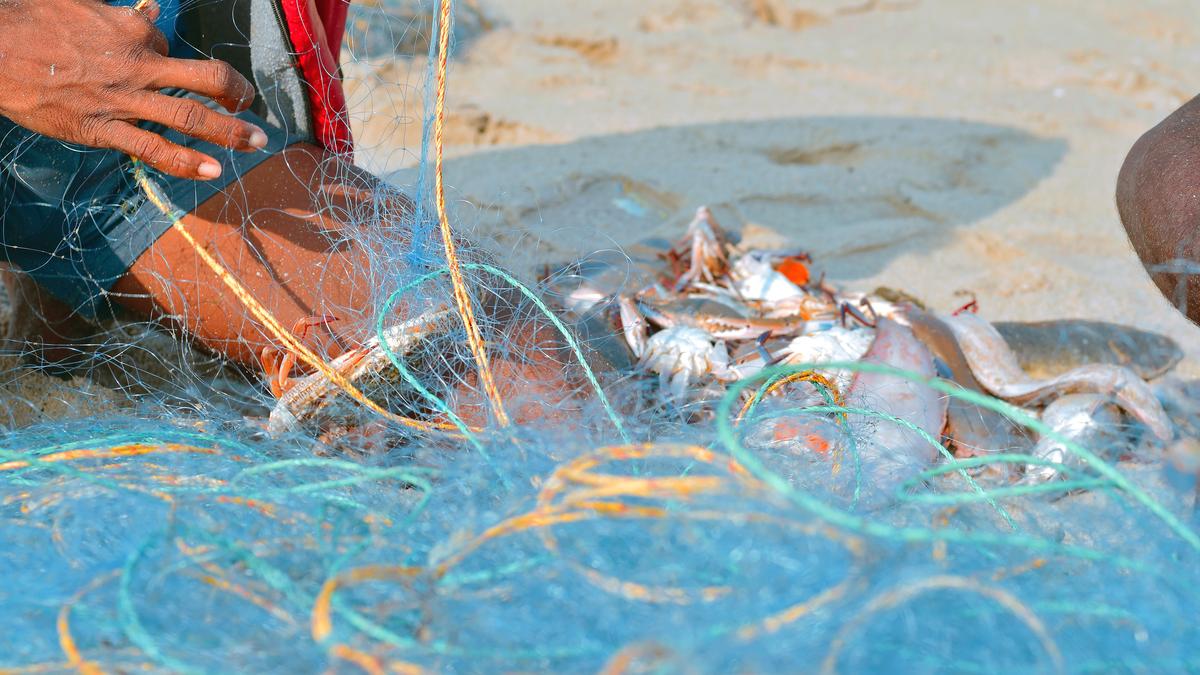 The real crisis in India’s fisheries