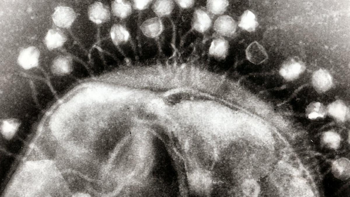 Science Snapshots: August 9, 2026