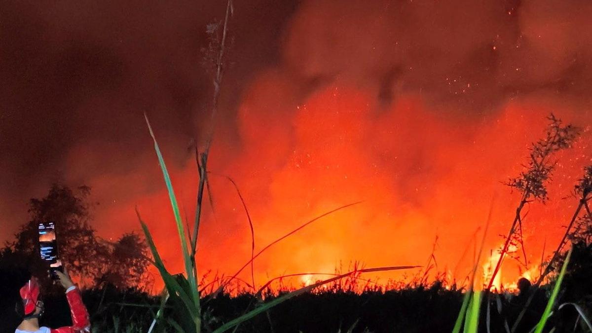 Indonesian police arrest 72 people suspected of starting forest fires