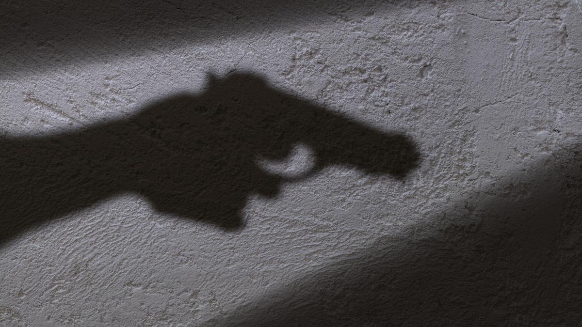 Indian national shot dead by unidentified man in New York City