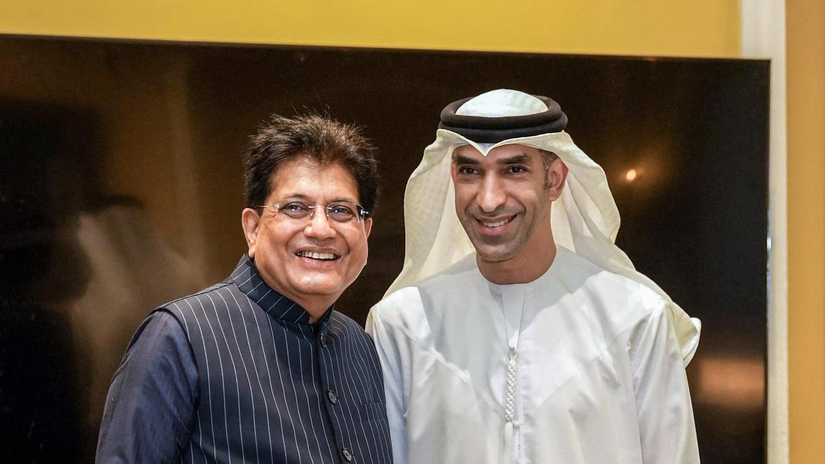 UAE signals another  billion investment in India; eyes ports, energy and space sectors: Goyal