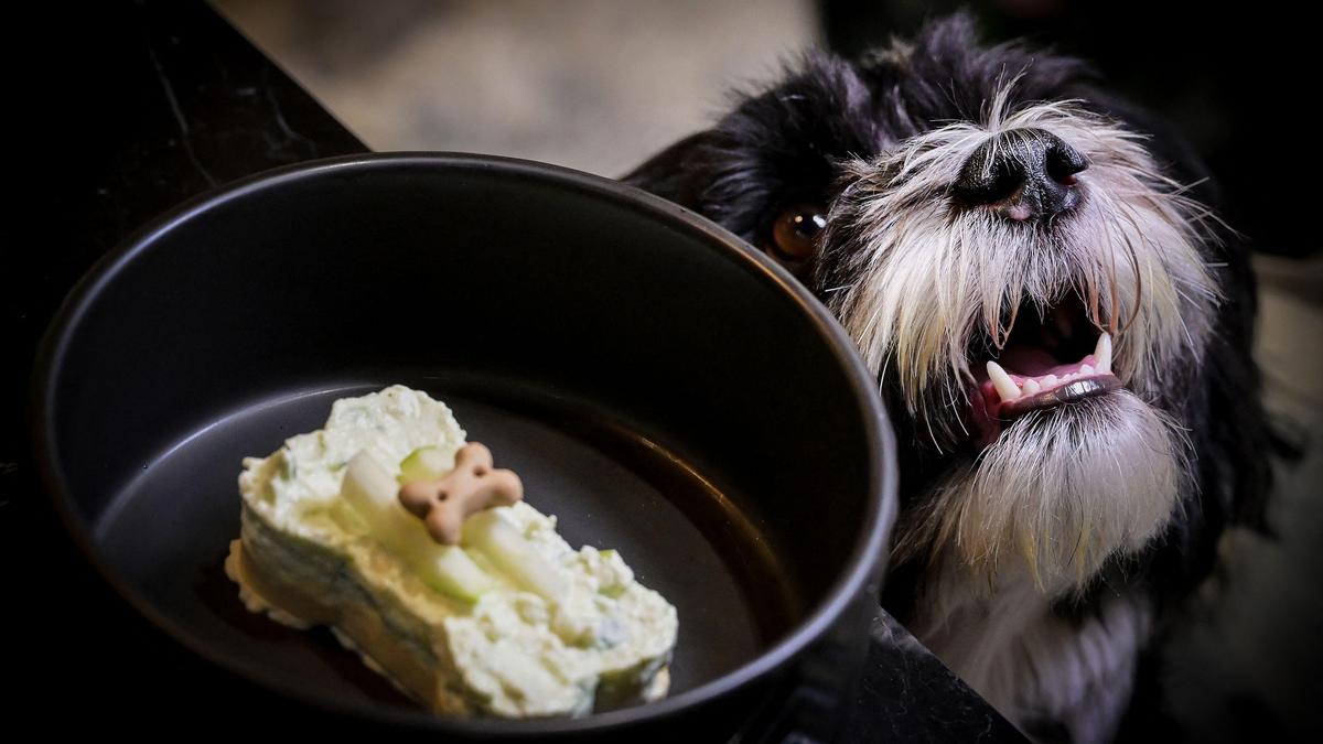 When pets become premium customers