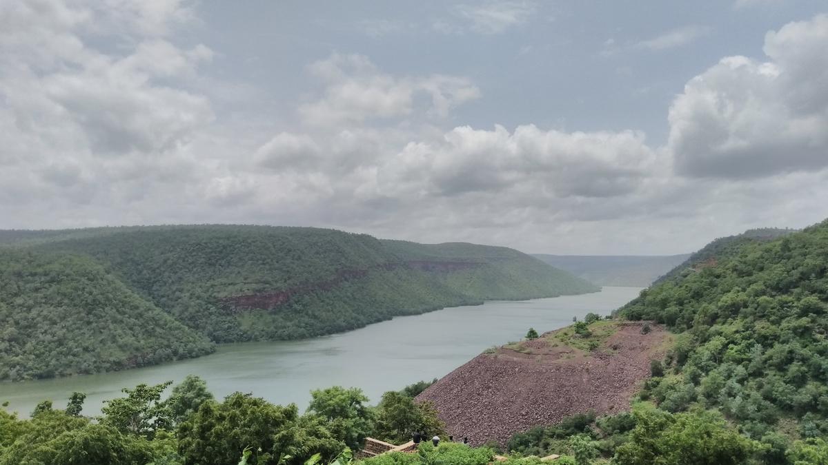 India’s river interlinks may carry invasive species farther