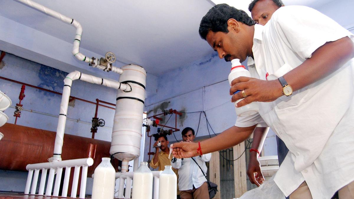 Who’s watching what we eat? Inside India’s food adulteration problem