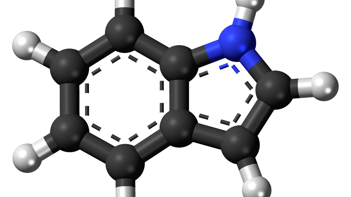 Chemists report ‘milder’ way to swap carbon for nitrogen atoms