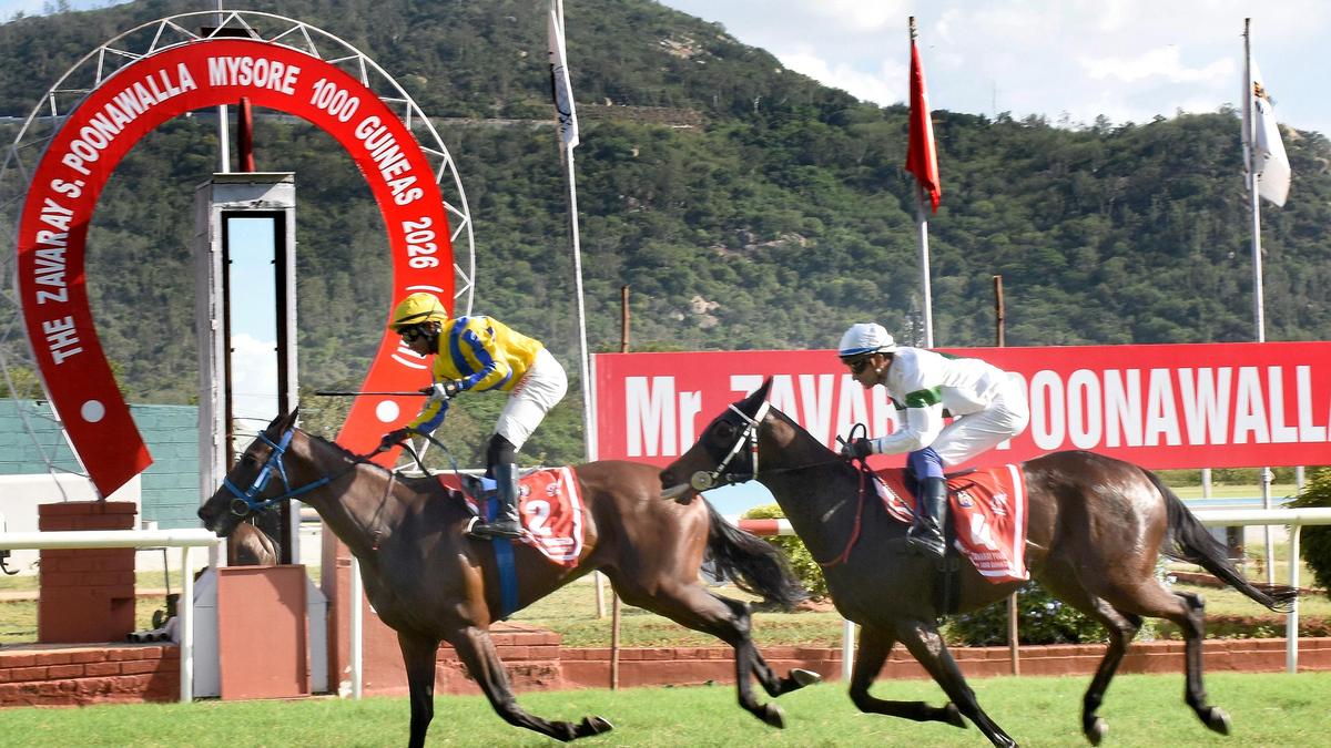 Royal Legacy wins Zavaray S. Poonawalla Mysore 1000 Guineas