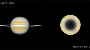 Science Snapshots: September 6, 2026