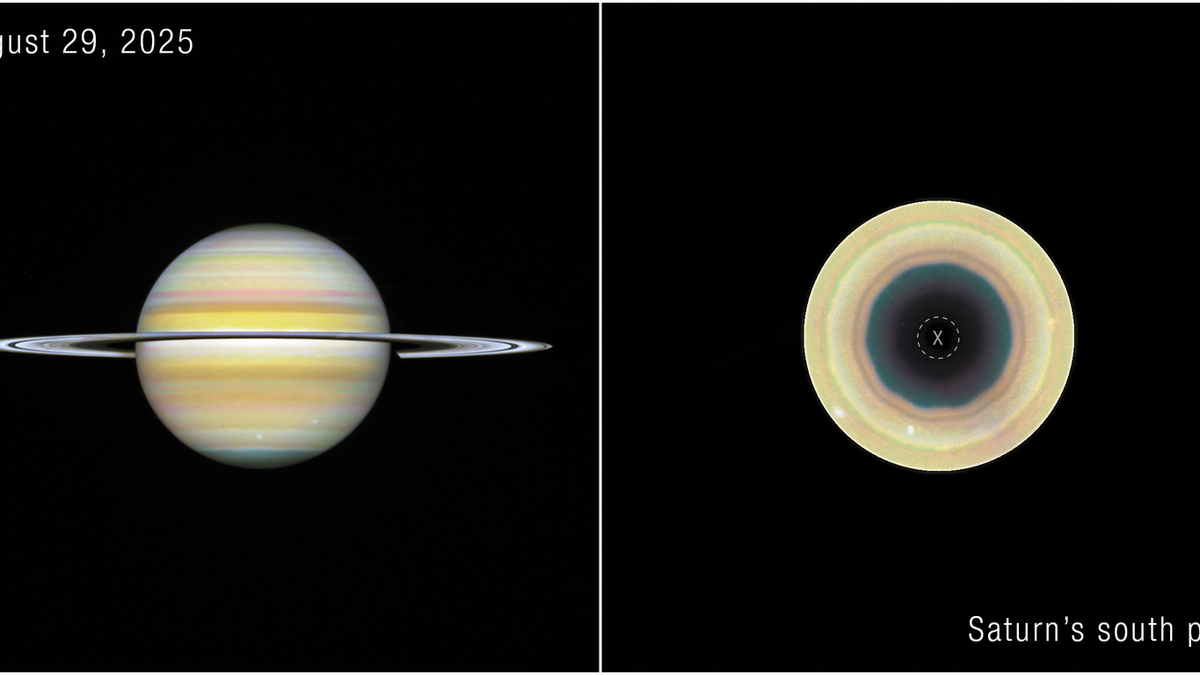 Science Snapshots: September 6, 2026