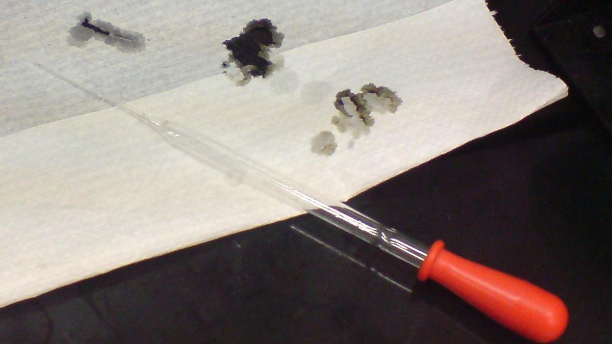 Peptides can be stable in concentrated sulphuric acid: study