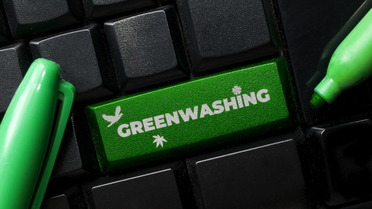 New ICAI guidelines address sustainability assurance, greenwashing | Analysis