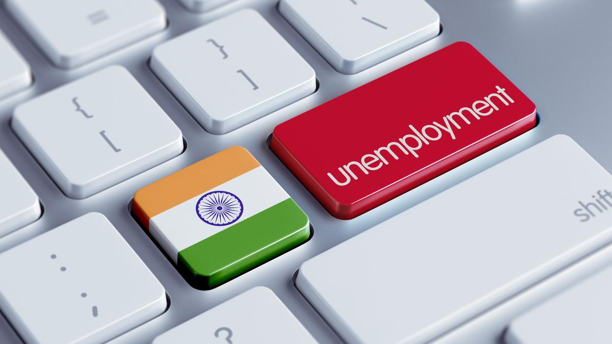 India’s unemployment data dilemma – The Hindu