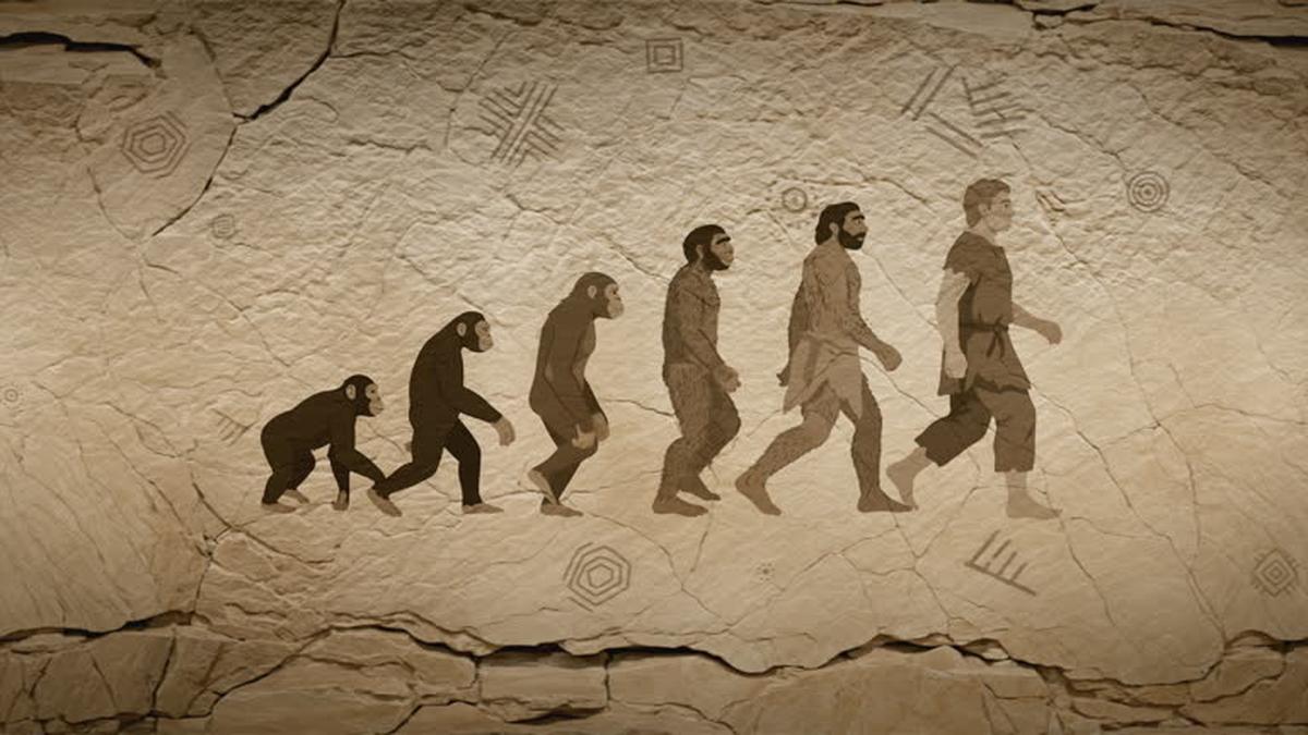 Science for All newsletter: Human ancestors moved from climbing trees to walking on the ground 1.8 million years ago