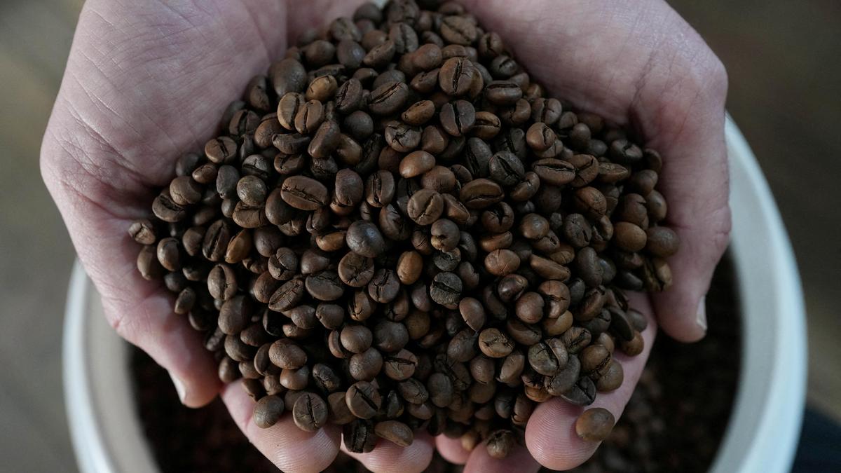 Daily Quiz | On all things coffee