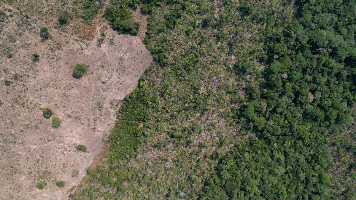 Deforestation in Brazil’s Amazon falls to all-time low