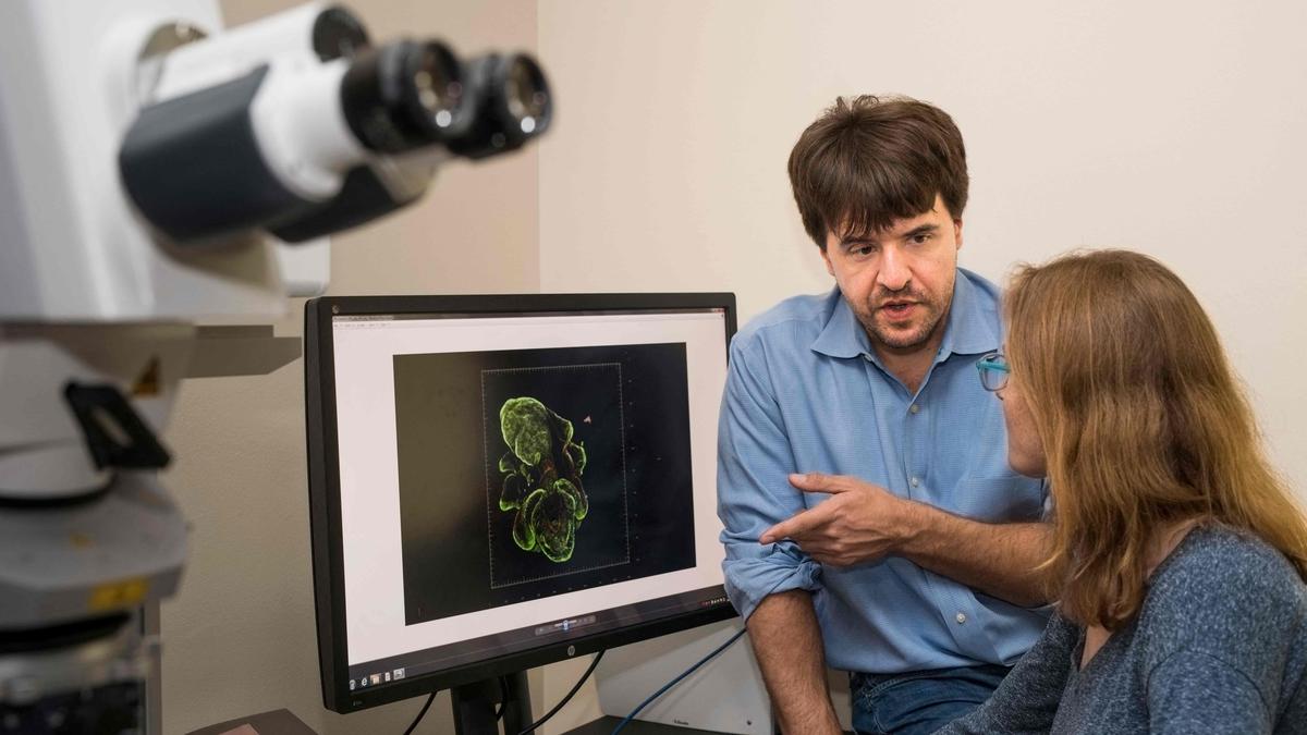 The Nobel-winning science of optogenetics: Explained