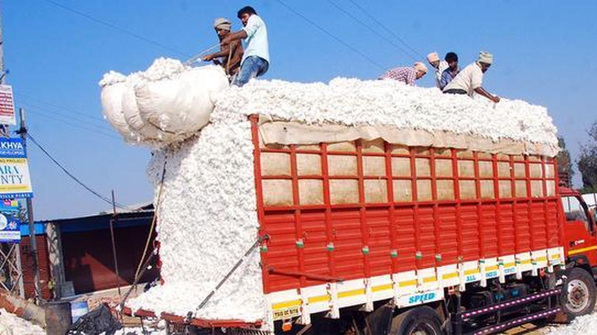 Kasturi Cotton gains traction as India puts traceability on the textile map