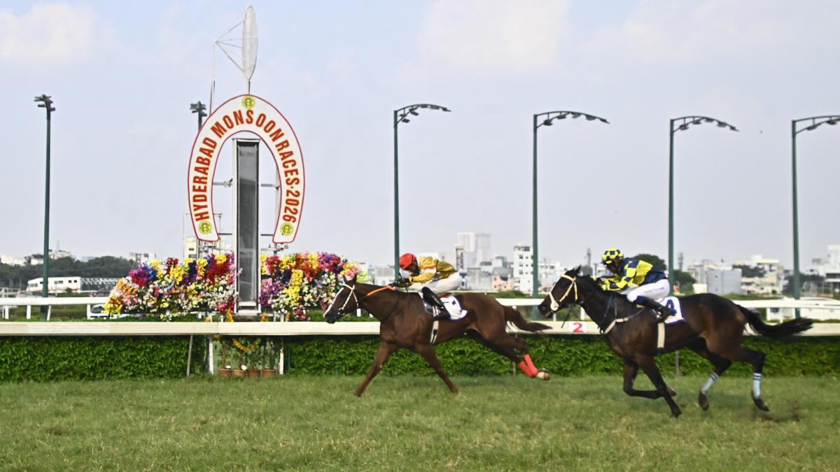 Arrived obliges in Golconda St. Leger, passes away shortly afterwards