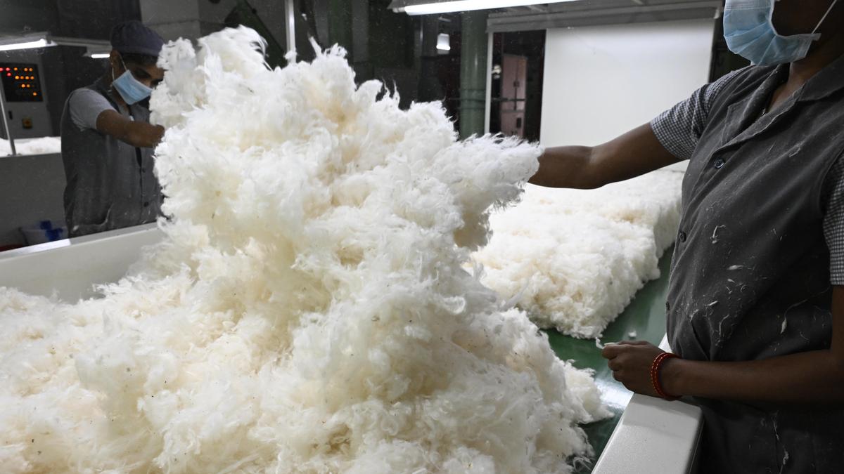 Cotton prices surge ₹4,000 a candy, T.N. textile mills fret over costs