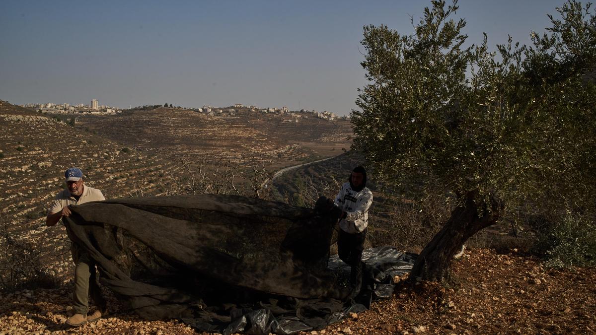 Five Italian activists held in West Bank have been repatriated, Italy’s ⁠Foreign Ministry says