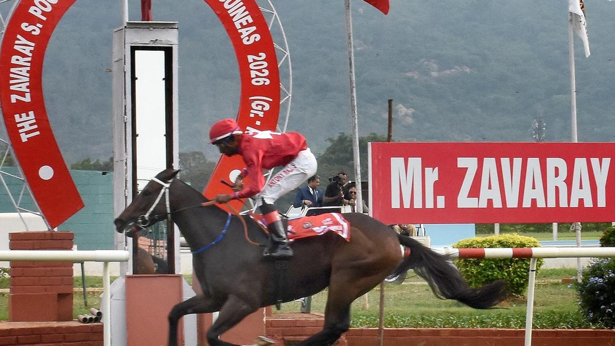 Stud Poker cashes it in the Zavaray S. Poonawalla Mysore 2000 Guineas