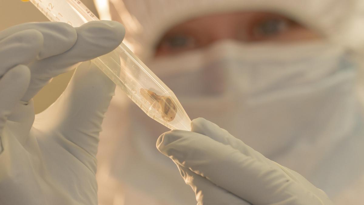 Russian lab researcher dies of plague in Siberia; dozens under quarantine