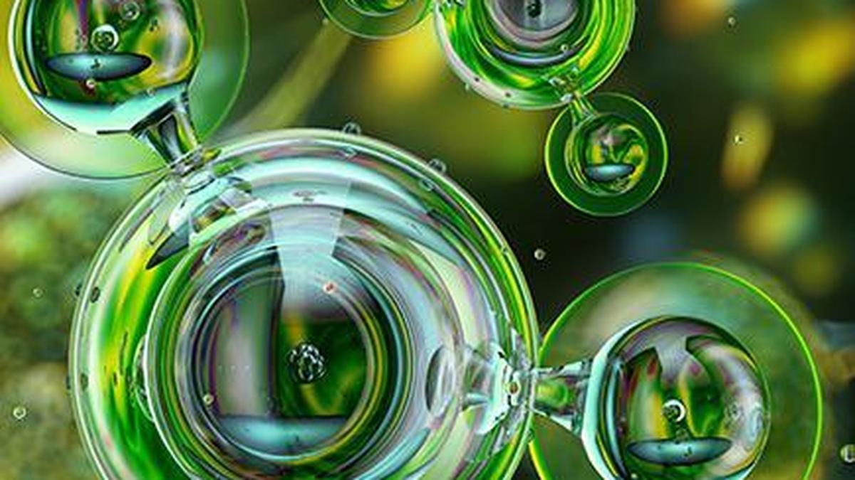 AM Green bags long term contract from JERA to supply green ammonia in Japan