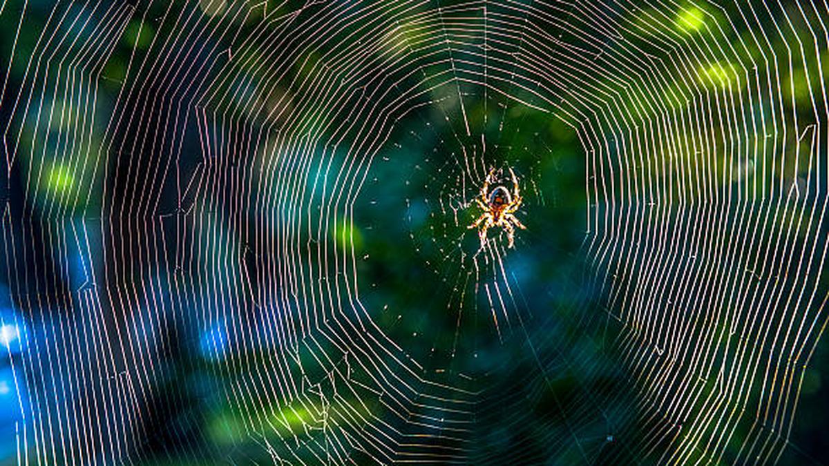 Taxonomic ‘chauvinism’ rife in ecological literature