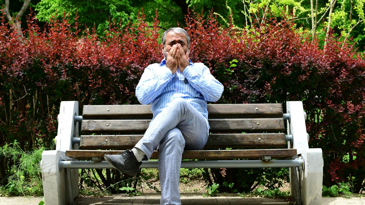 Ig Nobel Prizes 2026 awarded to serious work in amusing areas