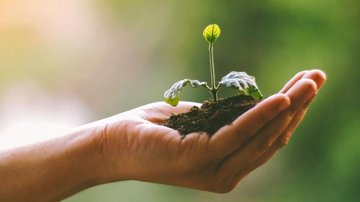 What is ‘human composting’ — how does it work?